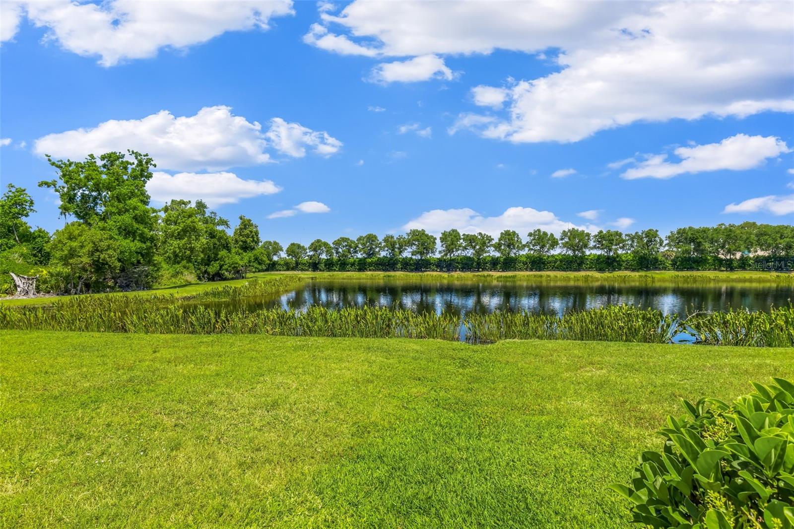 ROSEDALE ADD PH II - Residential