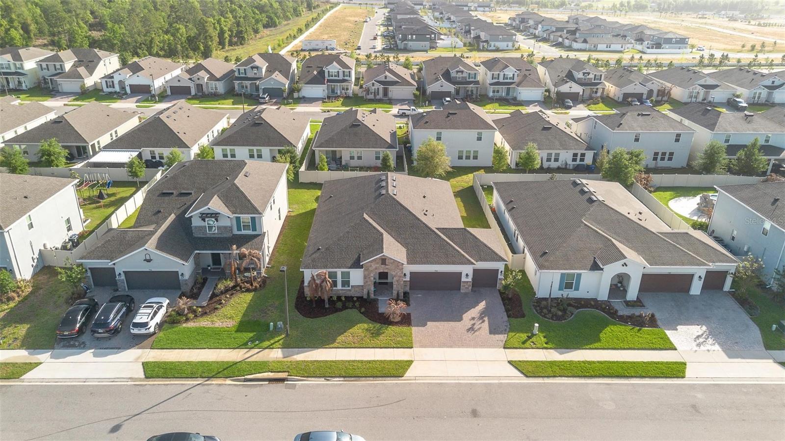 PARK VIEW/THE HILLS PH 2 A REP - Residential