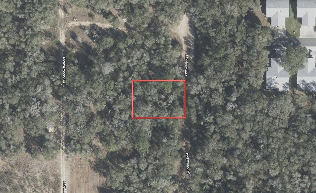 Photo of 611 Pinewood Avenue, Inverness, FL 34453 (MLS # TB8442087)