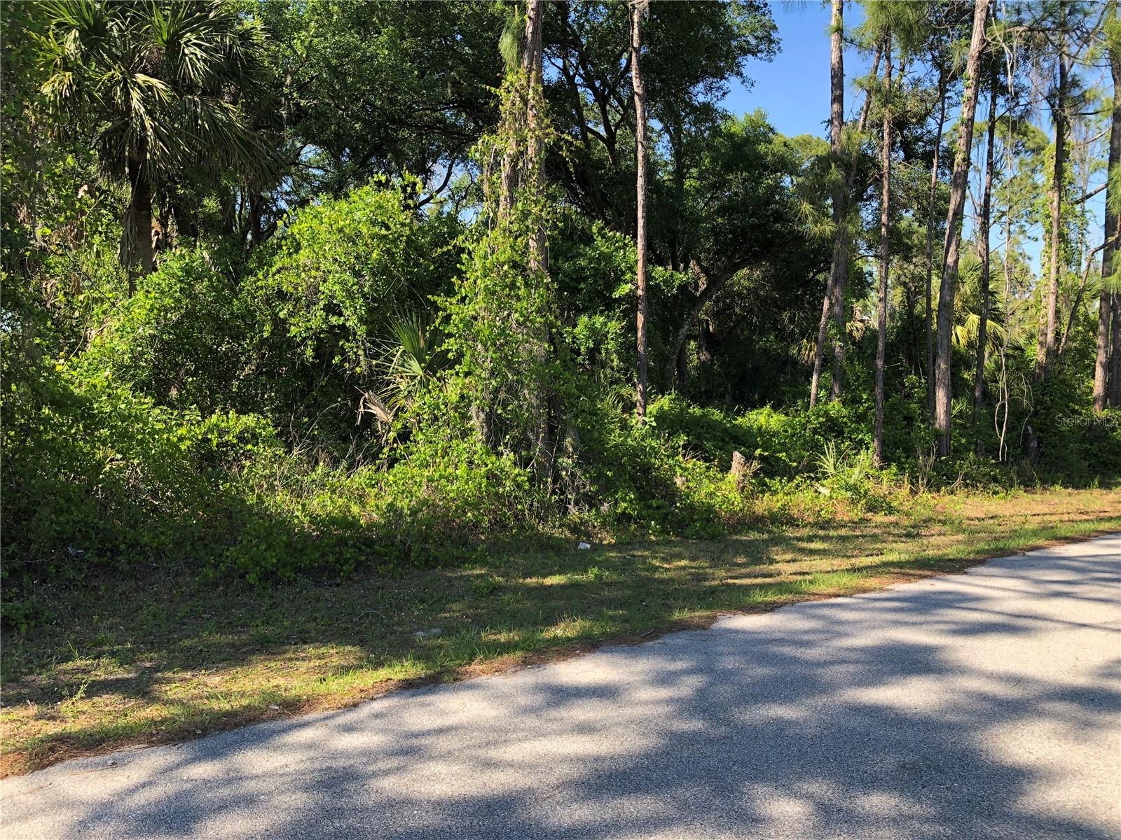 Wooded building lot in area of newer homes. Good access to shopping and dining. This is the best time to buy and build your Florida dream home.