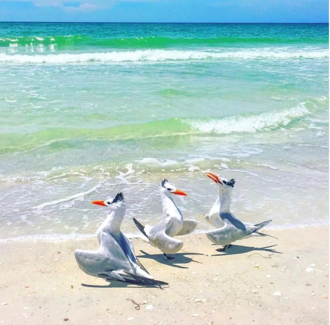 WHITNEY BEACH CONDO - Residential