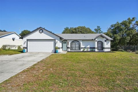 A home in DELTONA