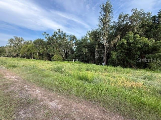 Photo of Pool Branch Road, Fort Meade, FL 33841 (MLS # TB8521620)