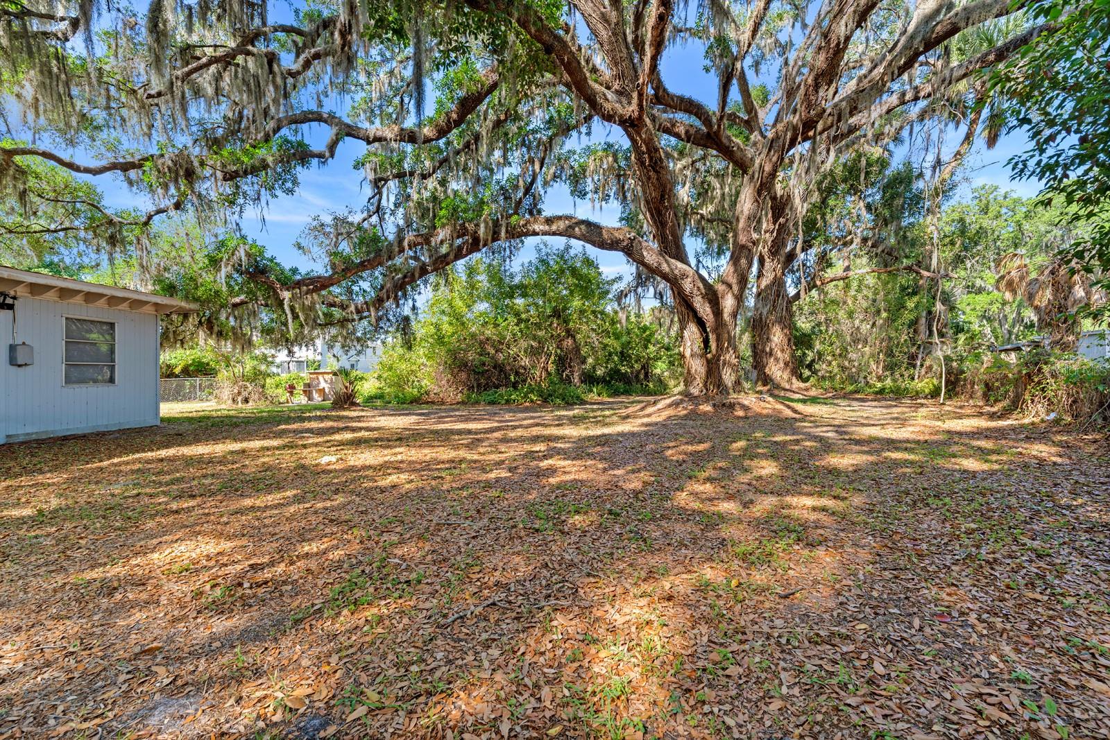 UNPLATTED - Residential