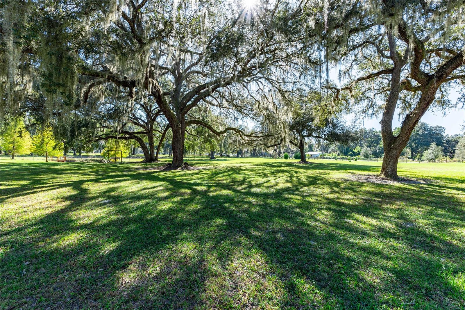SUMTER GARDENS - Residential