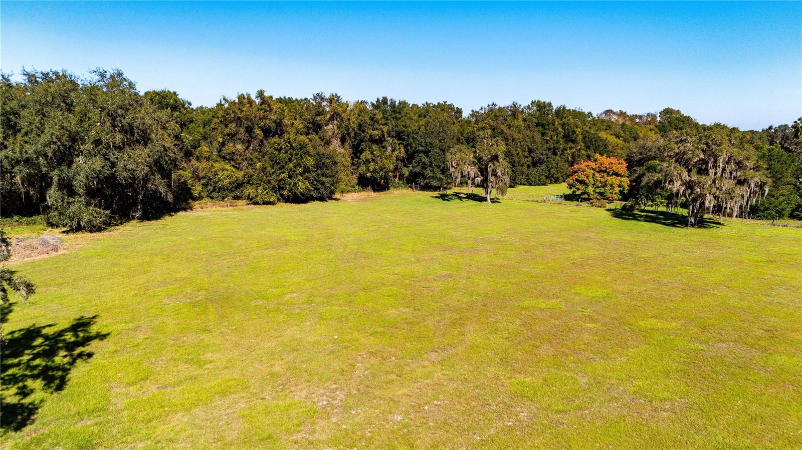 SUMTER GARDENS - Residential