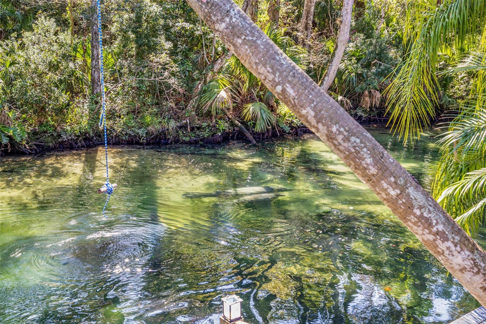 WEEKI WACHEE SHORES - Residential