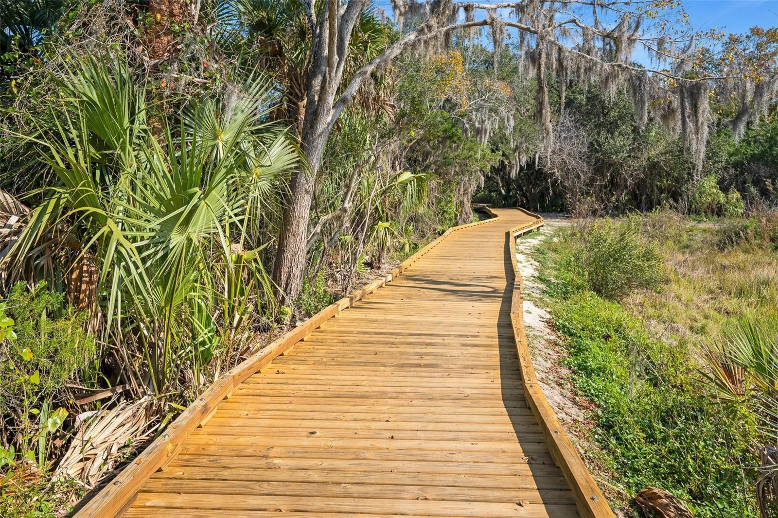 ORMOND GOLFRIDGE ESTATES - Residential