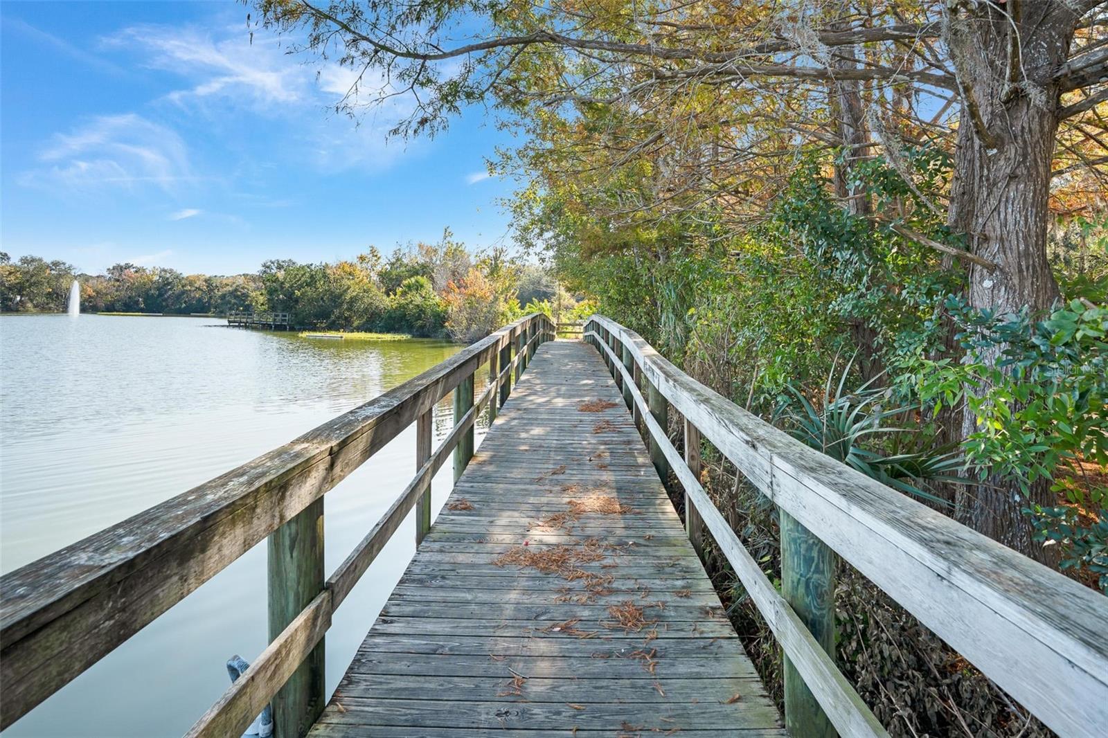 ORMOND GOLFRIDGE ESTATES - Residential