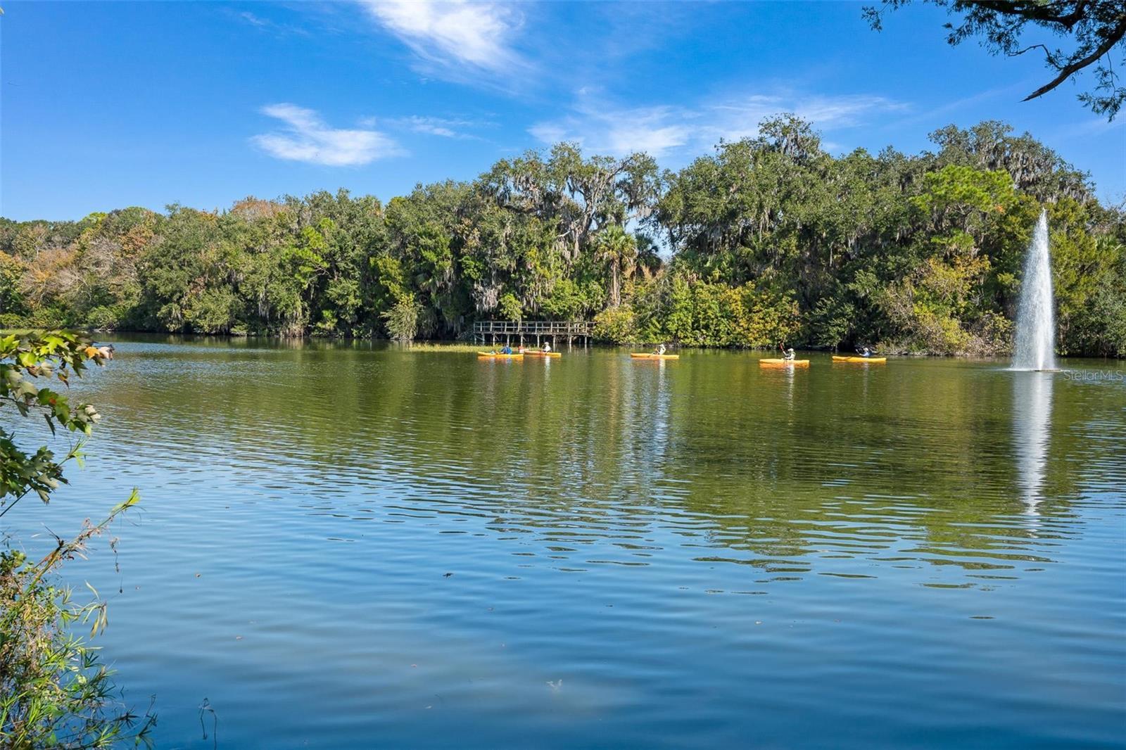 ORMOND GOLFRIDGE ESTATES - Residential