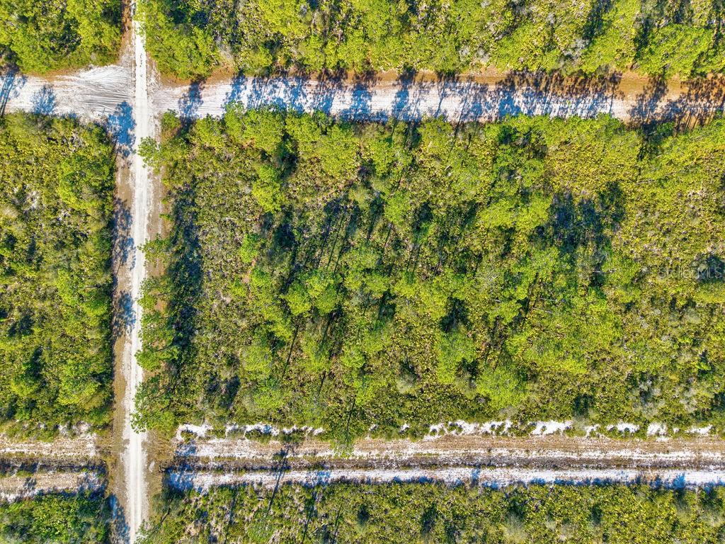 INDIAN LAKE ESTATES - Land