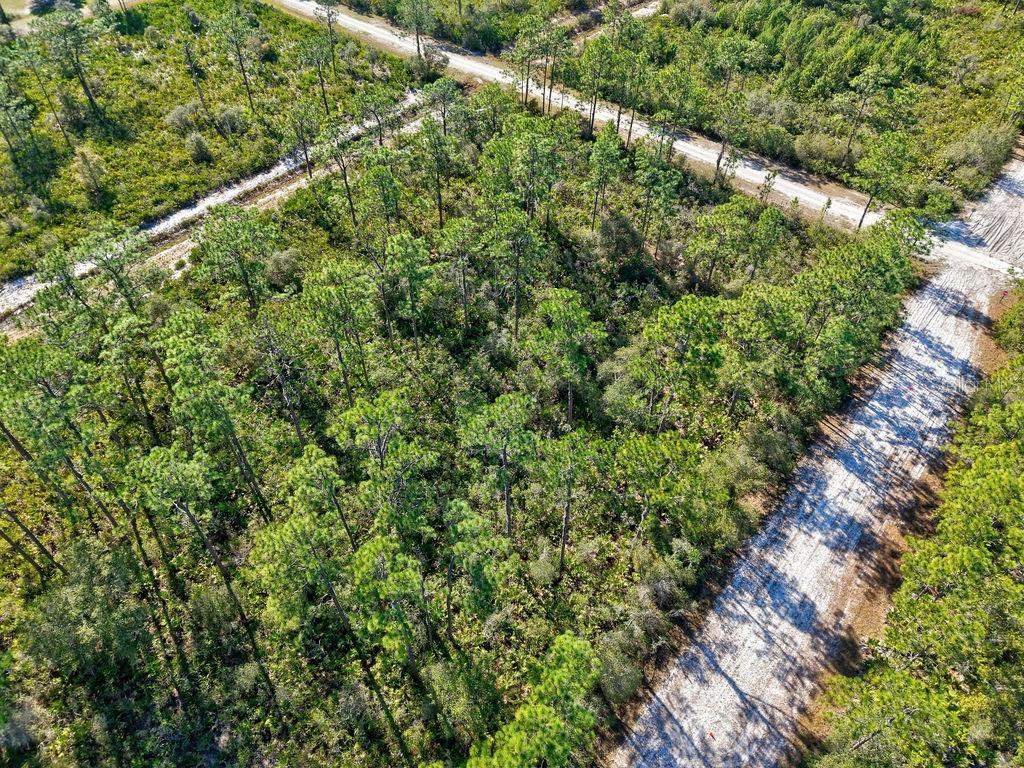 INDIAN LAKE ESTATES - Land