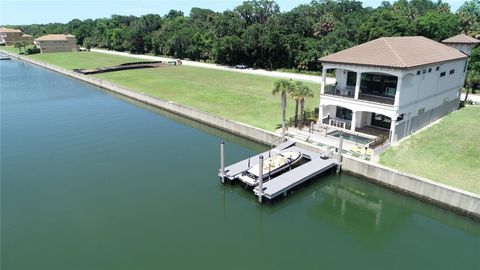 A home in PALM COAST