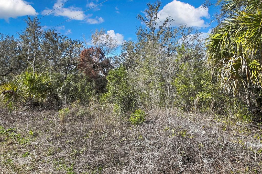 Photo of Ozark, Hudson, FL 34667 (MLS # W7873455)