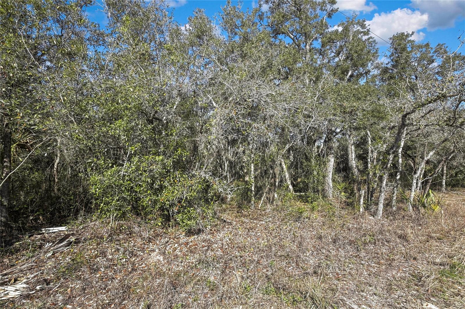 ORANGE HILL ESTATES - Land