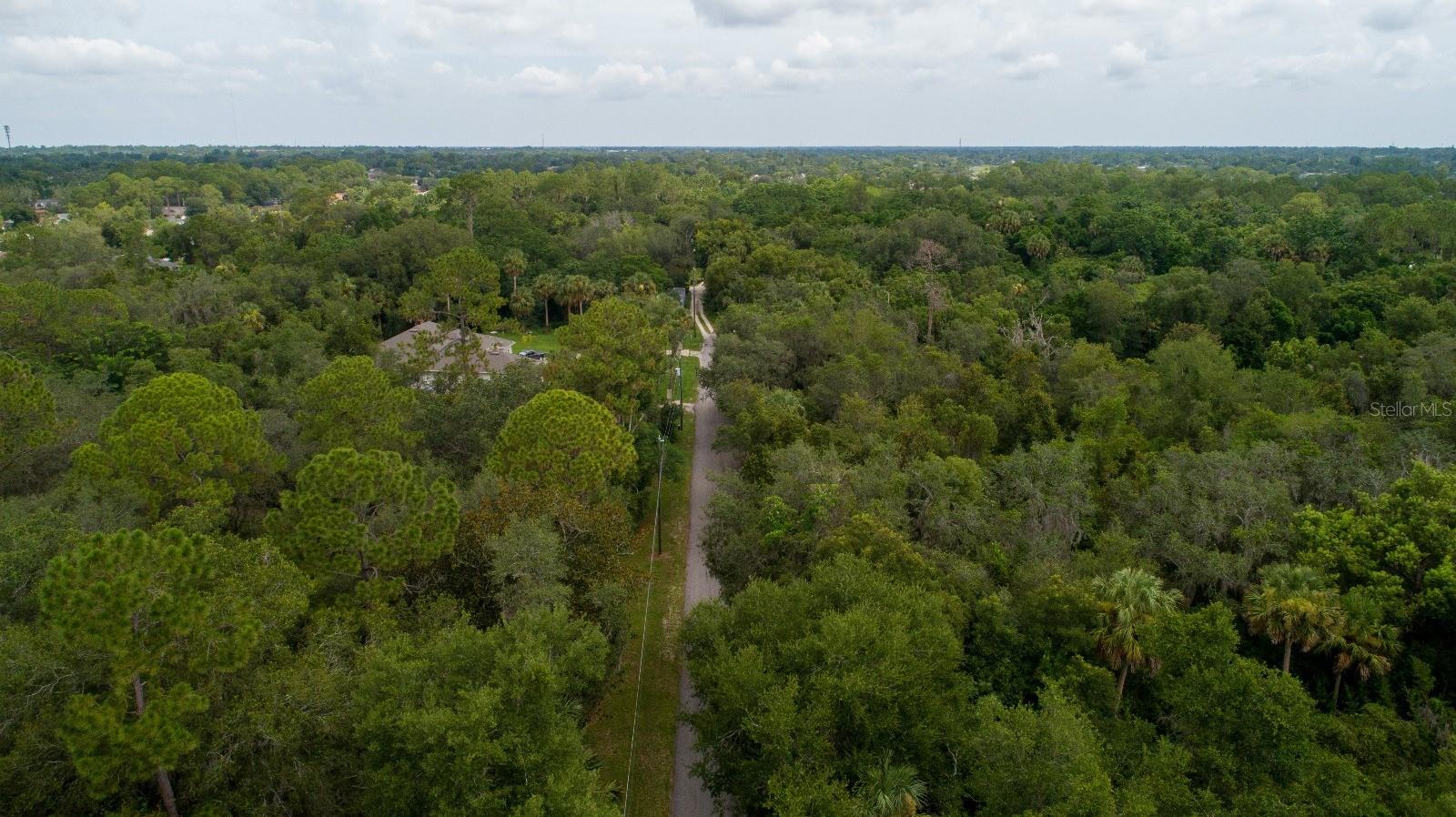 HILLS NE 01/4 SE 01/4 - Land