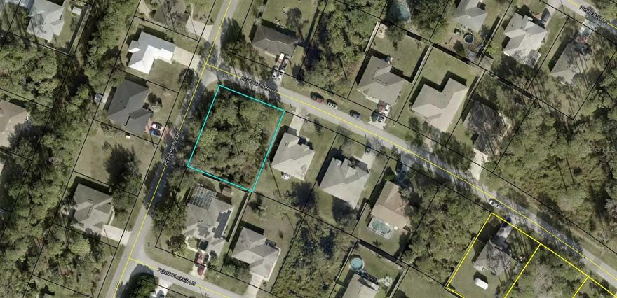 Large corner lot in a desirable area of the Belle Terre Subdivision of Palm Coast. Build your dream home on this property with no building time restrictions. This property has southern rear exposure for the best amount of light and for the most sun if a pool is contemplated. Lot is large enough to build any size home add a pool of your dreams. This is a fantastic lot in a very desirable area of Belle Terre.  Drive by and show to your buyers.