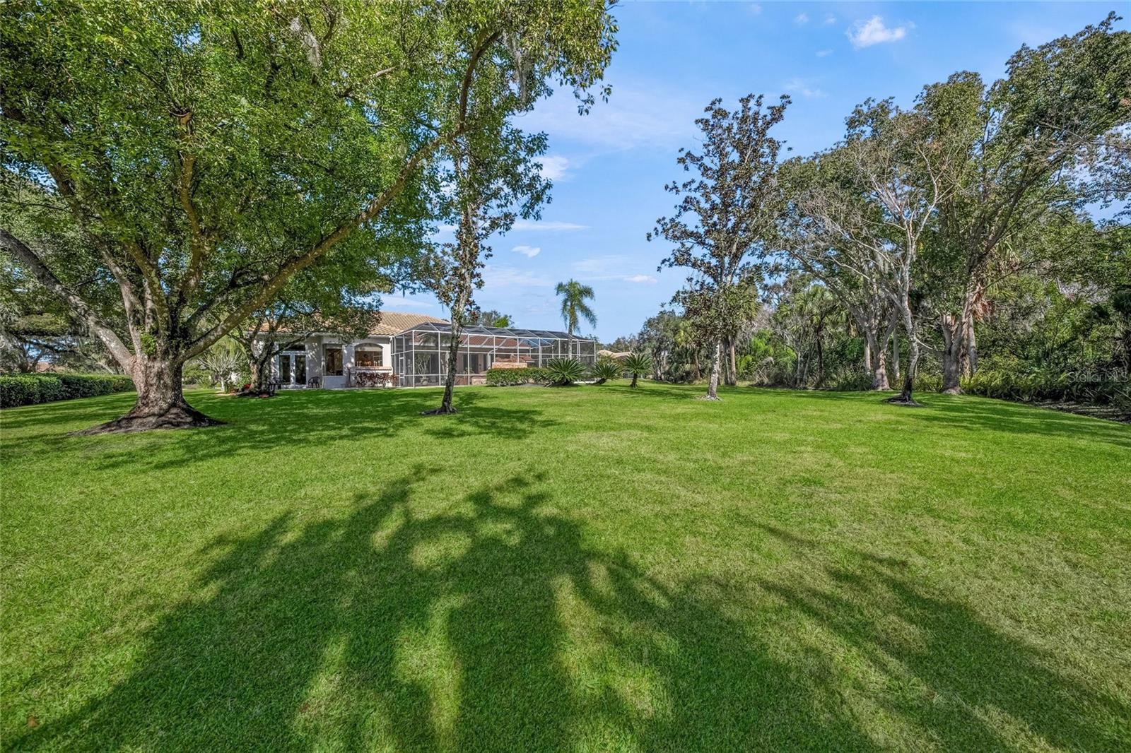 LAUREL OAK ESTATES - Residential