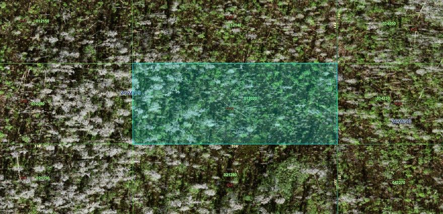 A VACANT LOT IN POLK CITY IN POLK COUNTY!!! No road available.