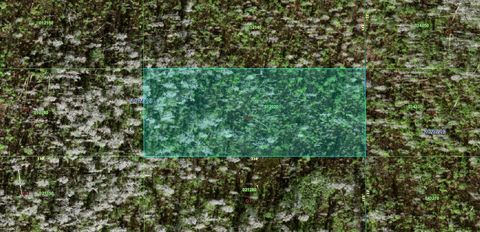 0 OLD GRADE ROAD POLK CITY FL 33868