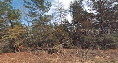 Photo of 158 Arden Street, Georgetown, FL 32139 (MLS # TB8333402)