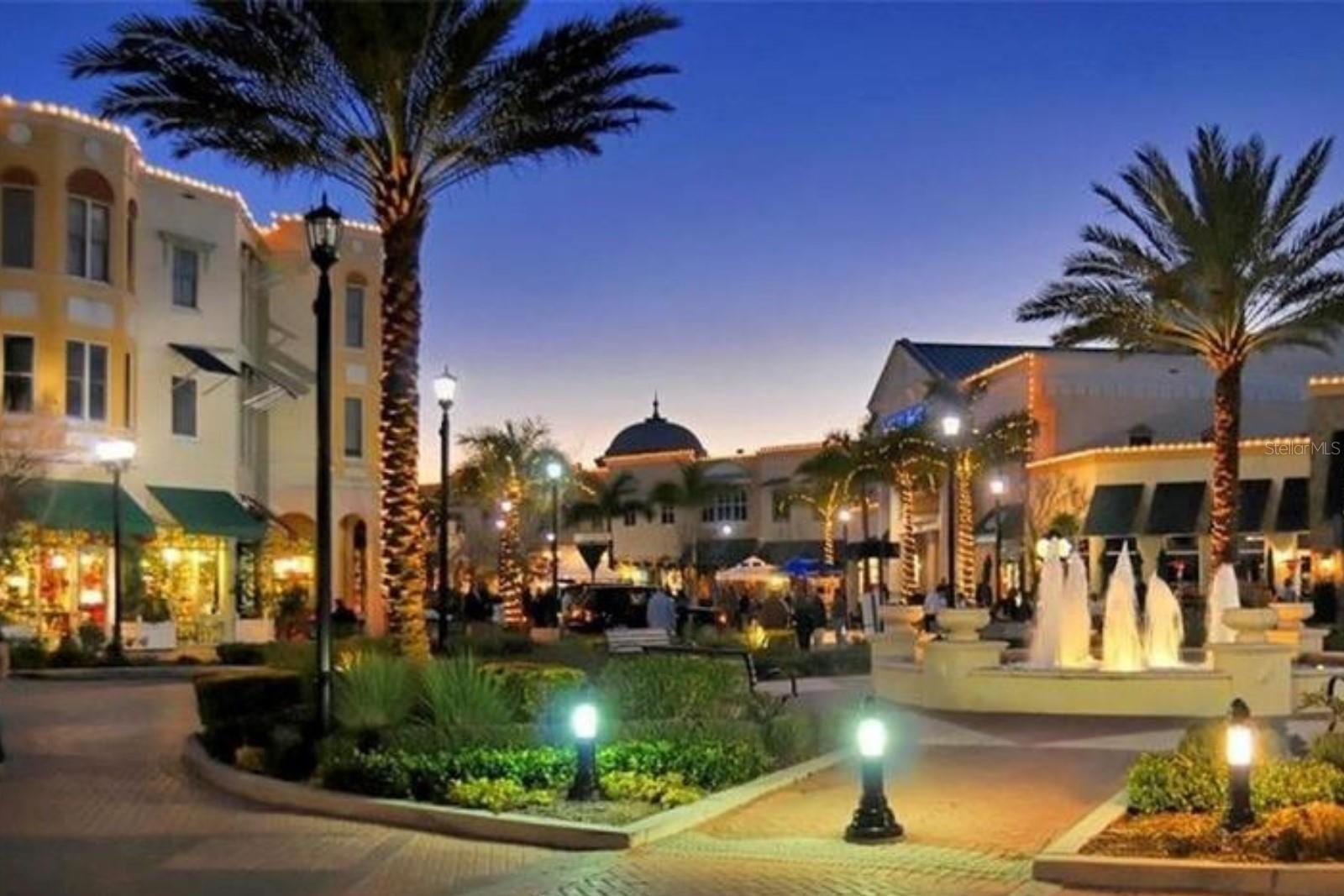 THE VILLAGE AT TOWNPARK OR2057/3888 - Residential