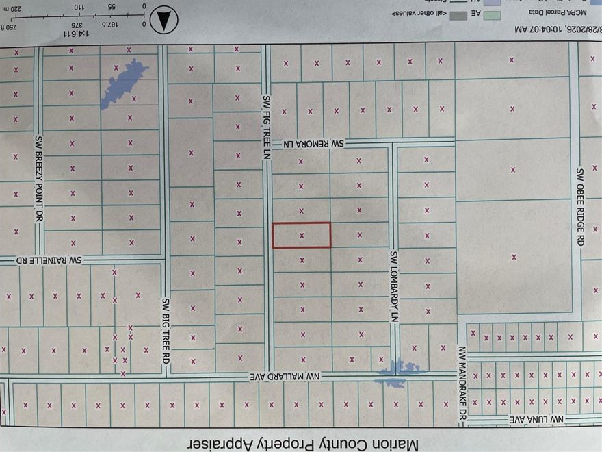 BUILD YOUR DREAM HOME, VACATION HOME OR INVESTMENT PROPERTY ON THIS VERY NICE WOODED LOT WITH JUST ABOUT AN ACRE OF LAND (0.99 Acres). NO HOA OR TIME LIMIT TO BUILD (No Mobile Homes). LOCATED ON A PAVED ROAD IN THE SOUGHT-AFTER COMMUNITY OF RAINBOW LAKES ESTATES. JUST IMAGINE SPENDING RELAXING TIME WITH FAMILY AND FRIENDS ENTERTAINING IN YOUR BEAUTIFUL NEW HOME ENJOYING SERENE NATURE-FILLED DAYS IN THE WONDERFUL FLORIDA SUNSHINE. THE COMMUNITY FEATURES 2 PLAYGROUNDS, BONABLE LAKE WITH A FISHING PIER, TIGER LAKE WITH A BOAT RAMP, EXERCISE ROOM, COMMUNITY CENTER, BASKETBALL AND TENNIS COURT. CONVENIENT TO DOWNTOWN DUNNELLON, GREAT FOR ANTIQUE SHOPS, RESTAURANTS, SHOPPING, OCALA, THE WORLD EQUESTRIAN CENTER FOR THE EQUINE ENTHUSIAST, CRYSTAL RIVER, GAINESVILLE, GULF COAST AND THE CRYSTAL-CLEAR WATERS OF RAINBOW SPRINGS STATE PARK WHERE YOU CAN ENJOY SWIMMING, KAYAKING, CANOEING, SNORKELING, TUBING AND PICNICING. COME CLAIM YOUR PIECE OF PARADISE!!