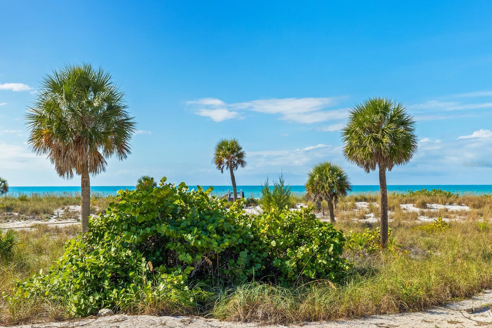 BEACH CHALET - Residential