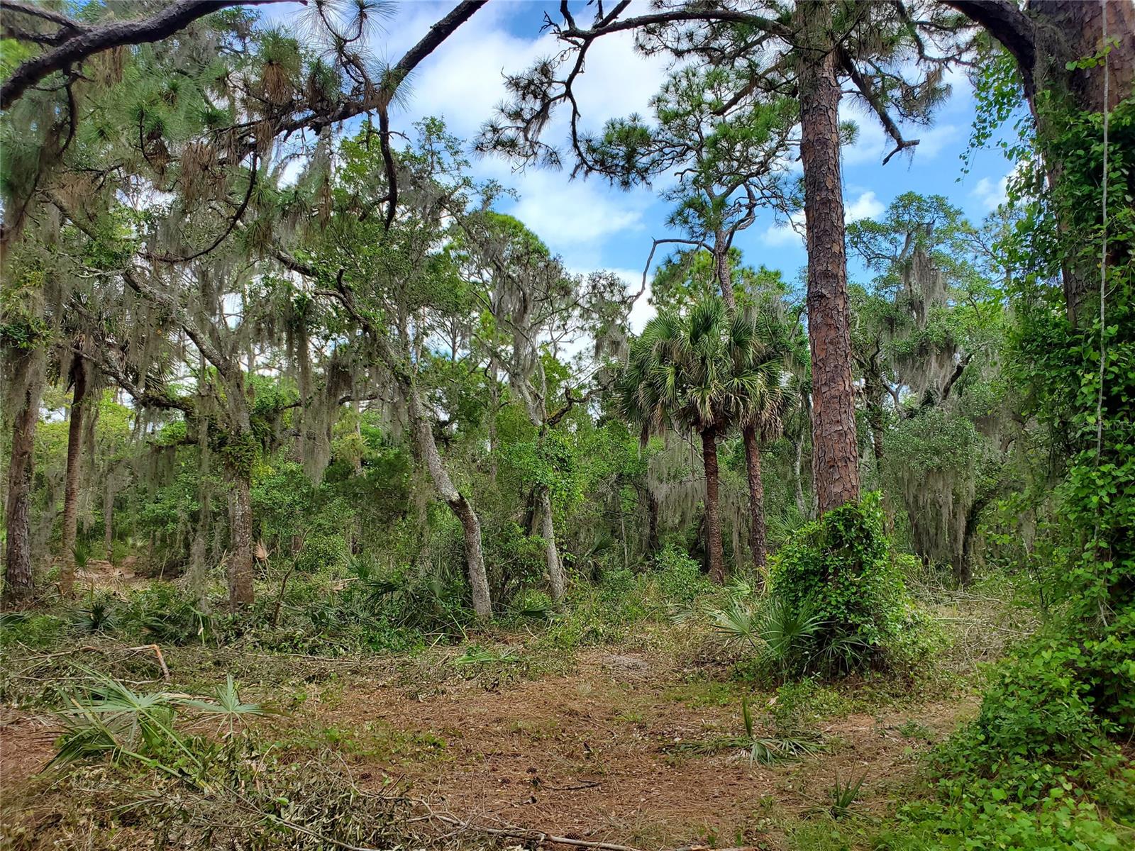 Sargent & Bradburys Sub - Land