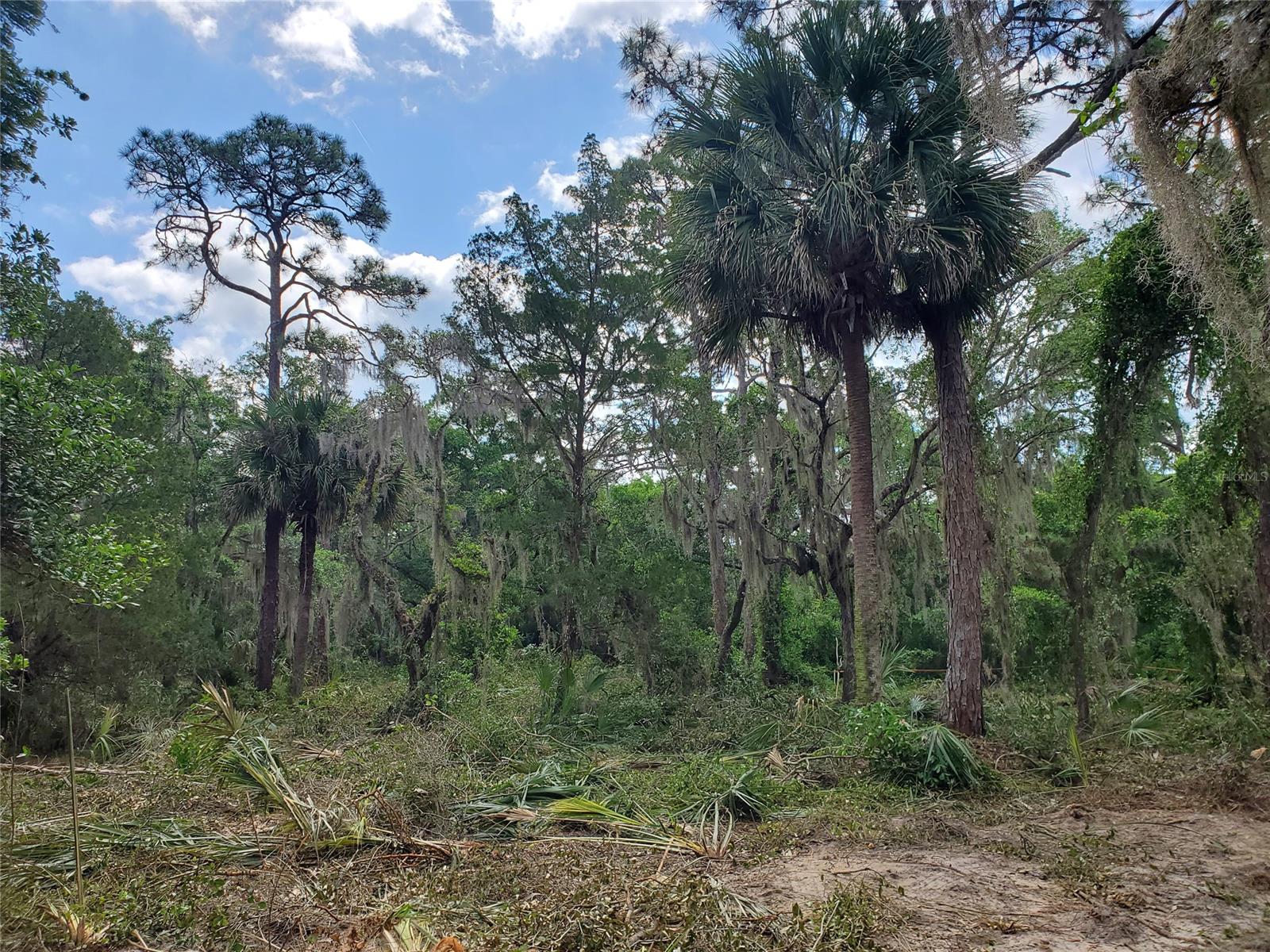 Sargent & Bradburys Sub - Land