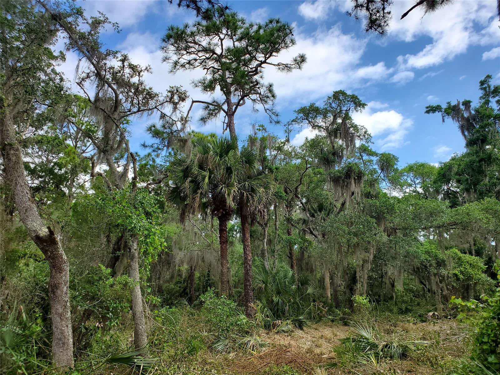 Sargent & Bradburys Sub - Land