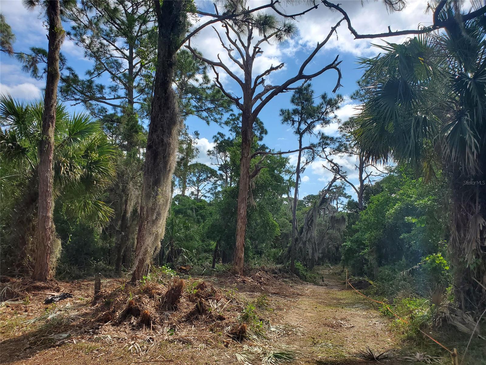 Sargent & Bradburys Sub - Land