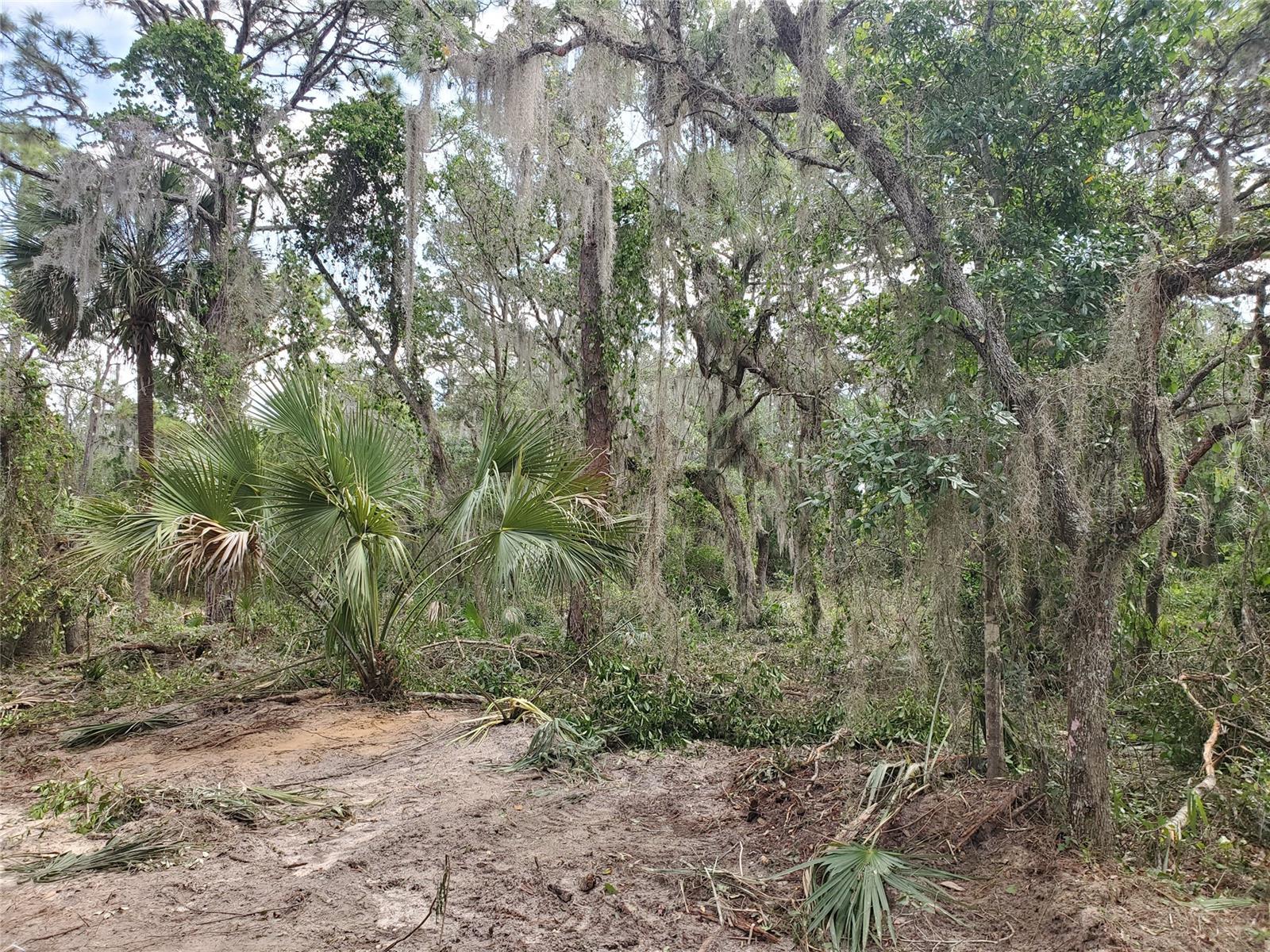 Sargent & Bradburys Sub - Land