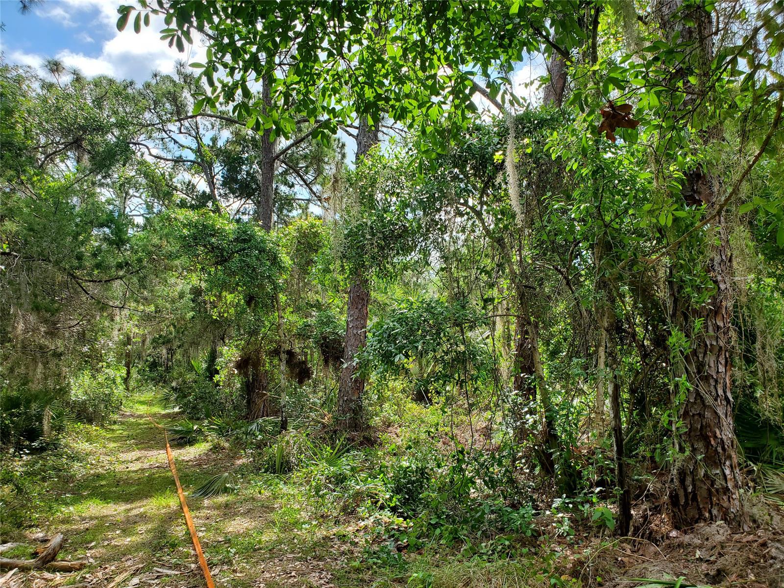 Sargent & Bradburys Sub - Land