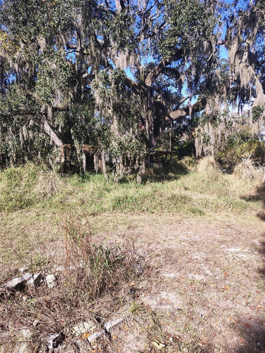 Photo of Wimauma, FL 33598 (MLS # TB8462629)
