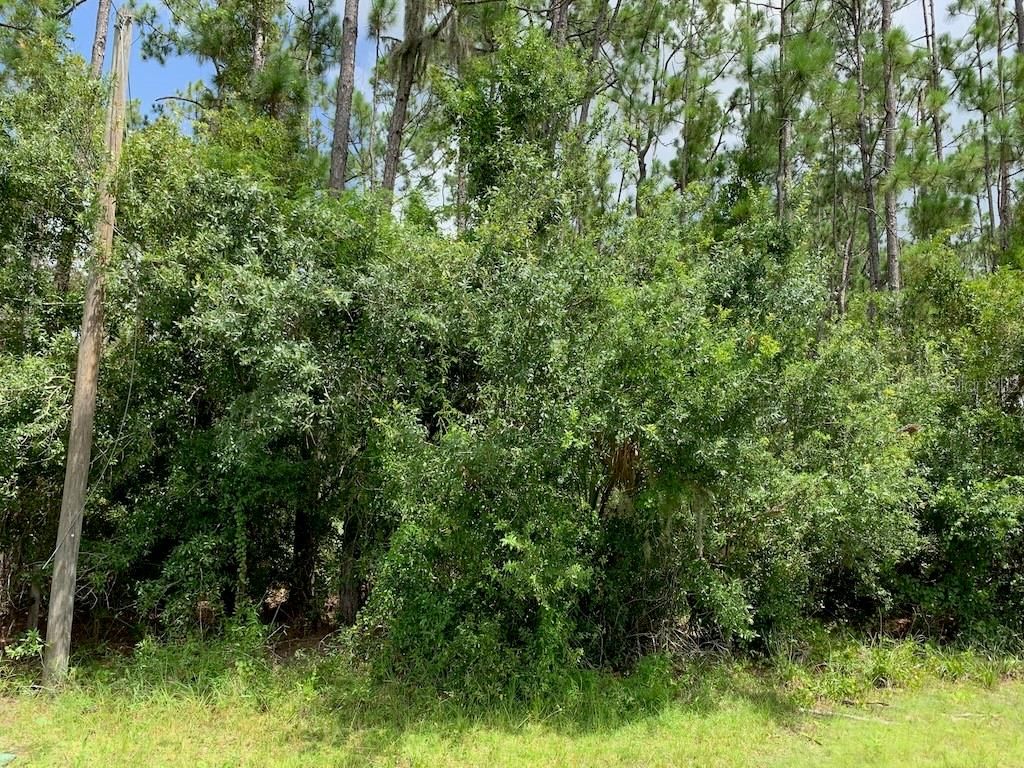 Photo of Joe Jeff Street, North Port, FL 34286 (MLS # C7512763)