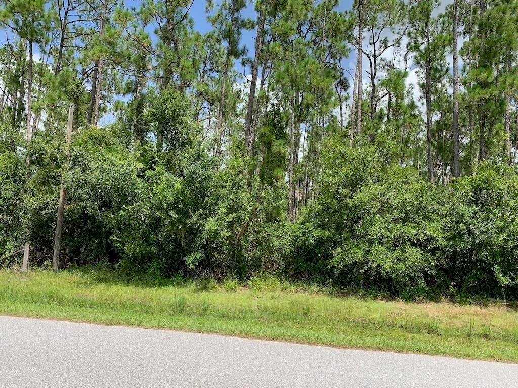 Photo of Joe Jeff Street, North Port, FL 34286 (MLS # C7512763)
