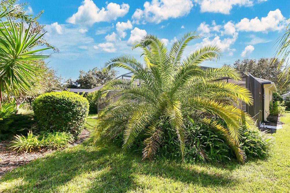 VICTORIA PARK INCREMENT 02 - Residential