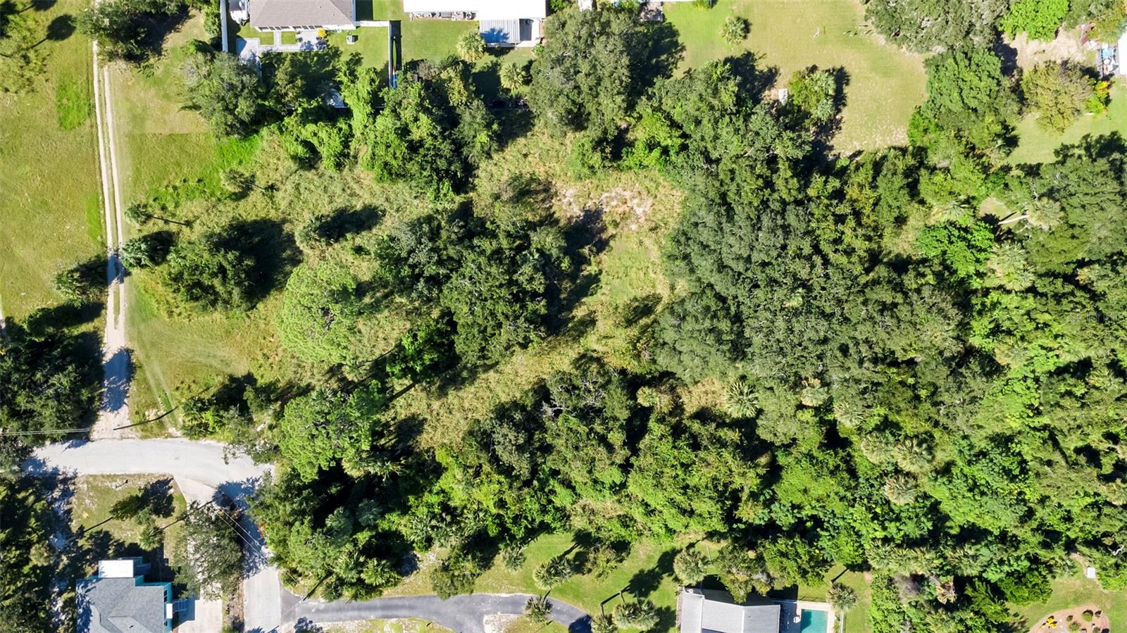 ASSESSORS ALVAREZ GRANT - Land