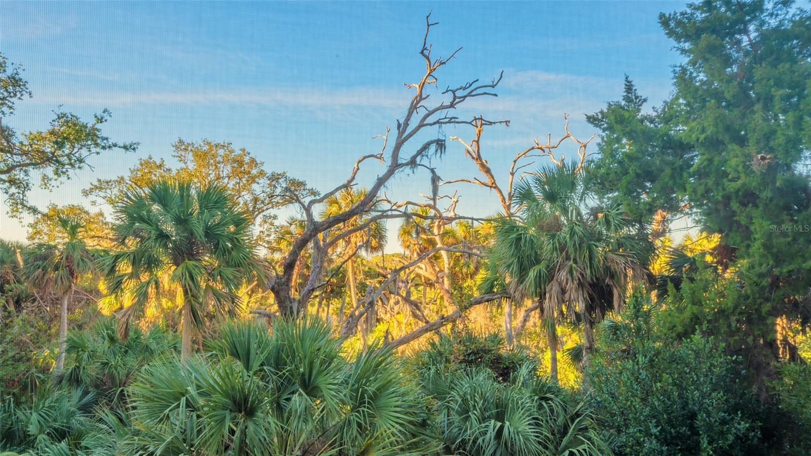 MERIDIAN AT THE OAKS PRESERVE - Residential