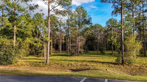 24325 DEEP SPRINGS LOOP EUSTIS FL 32736