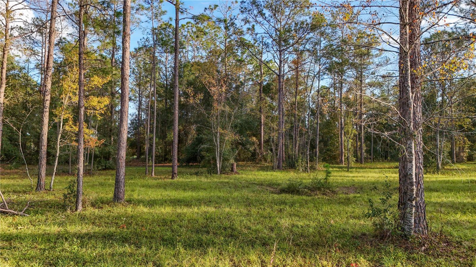 LAKEWOOD RANCHES SUB - Land