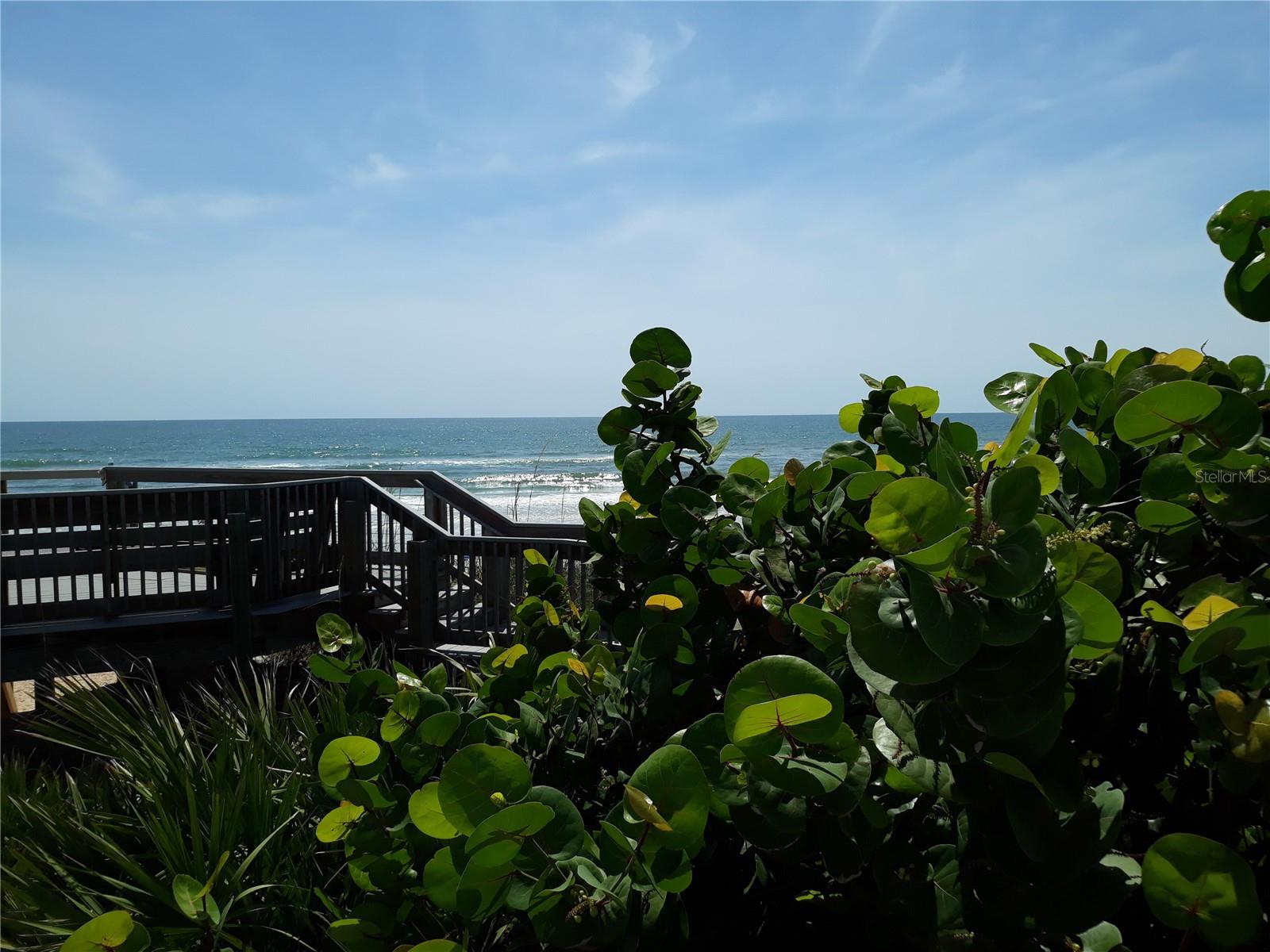 SEA COLONY - Residential Lease