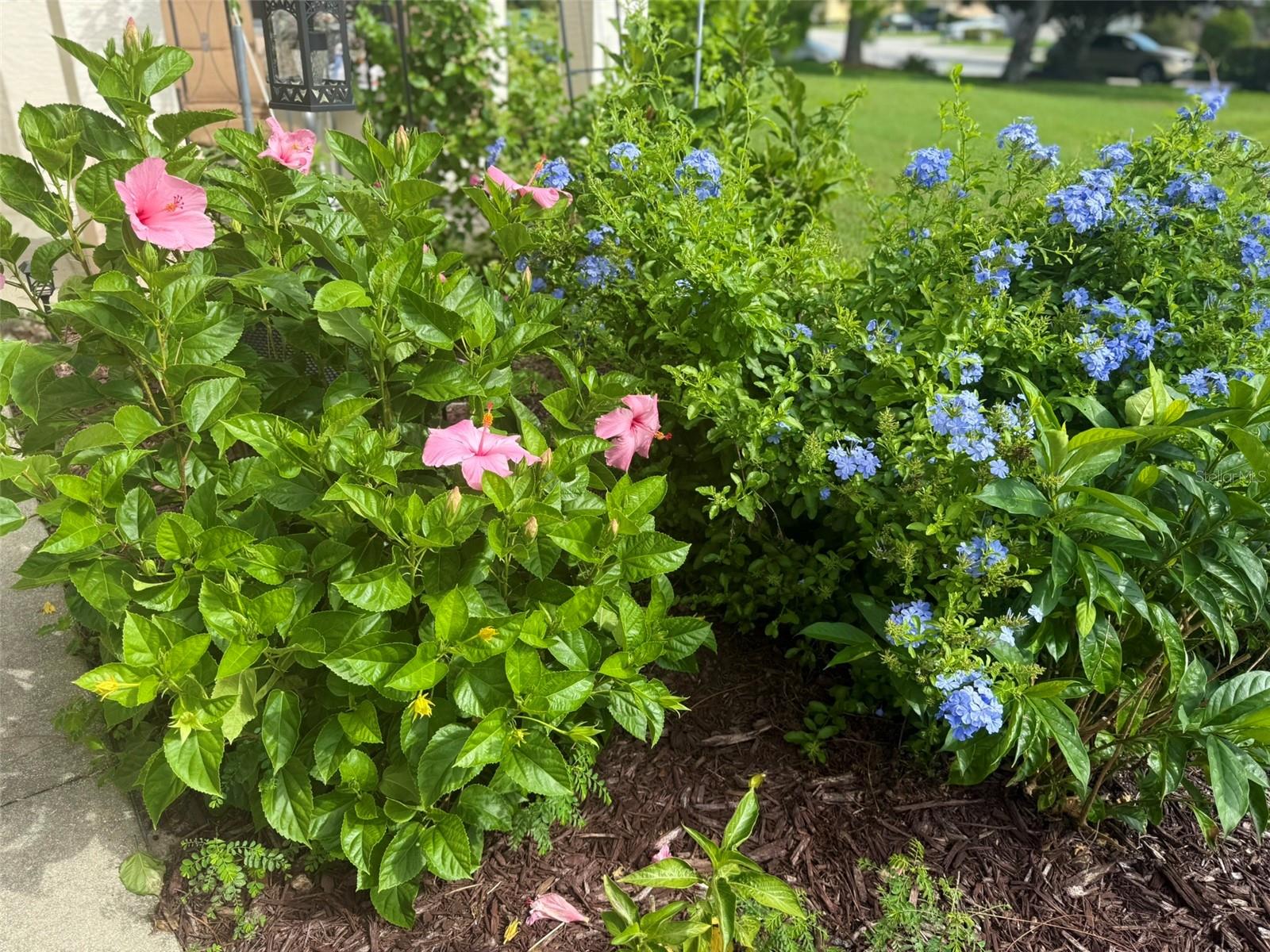 BRENTWOOD VILLAS 04 - Residential