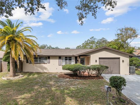 A home in PORT RICHEY