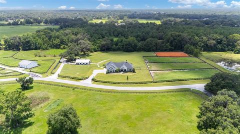 Tiny photo for 11098 NW 50th Lane, Ocala, FL 34482 (MLS # OM711502)