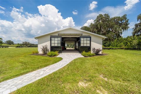 Tiny photo for 11098 NW 50th Lane, Ocala, FL 34482 (MLS # OM711502)