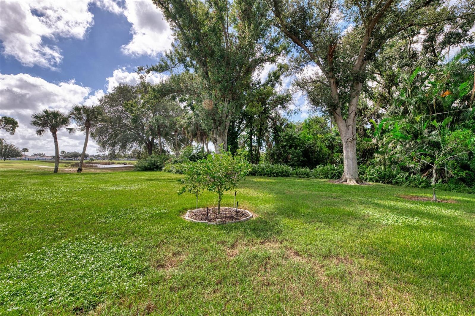 BRIDLE OAKS - Residential