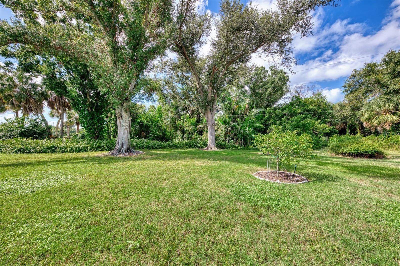 BRIDLE OAKS - Residential