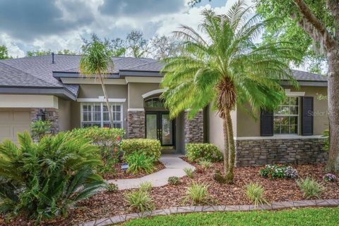 6205 IBISPARK DRIVE LITHIA FL 33547